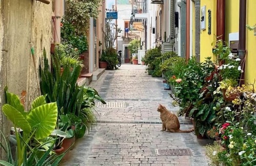 Lipari Historic Centre Apartment | 55 Via Roma. Apartment in the historic center a stone's throw from the sea.