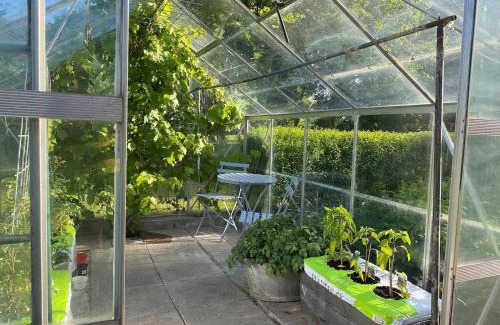 Skovbyballe House | 580 M2 Countryside Idyll With Activity Room