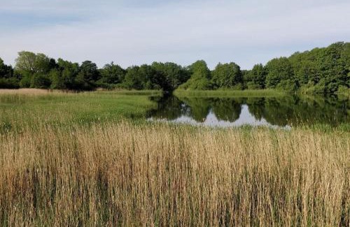 Vibæk Strand House | 6 person holiday home in Ebeltoft