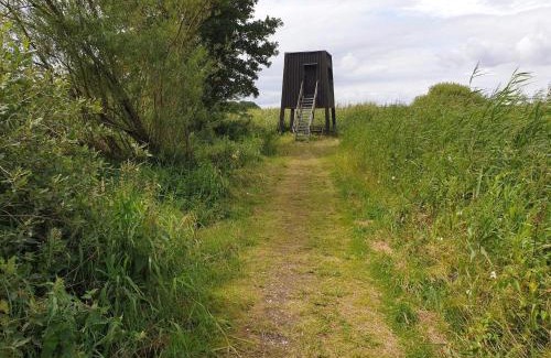 Vibæk Strand House | 6 person holiday home in Ebeltoft