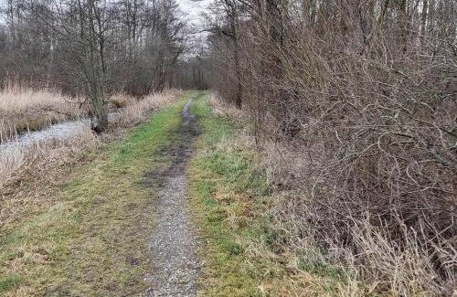 Vibæk Strand House | 6 person holiday home in Ebeltoft