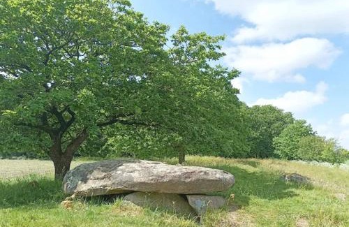 Hovborg House | 6 person holiday home in Hovborg-By Traum