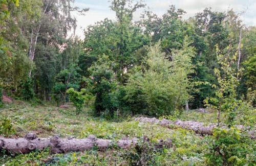 Helberskov Strand House | 6 person holiday home in Hadsund-By Traum