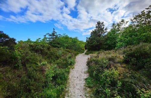 Hou House | 6 person holiday home in Hals-By Traum