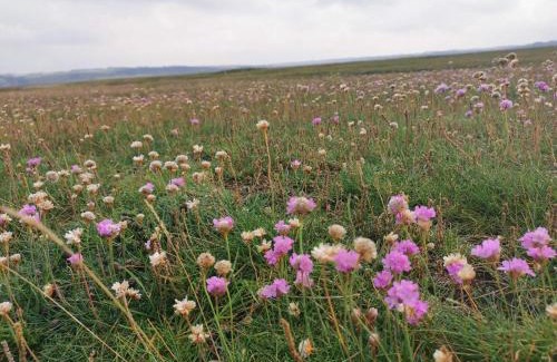 Trans House | 6 person holiday home in Lemvig-By Traum