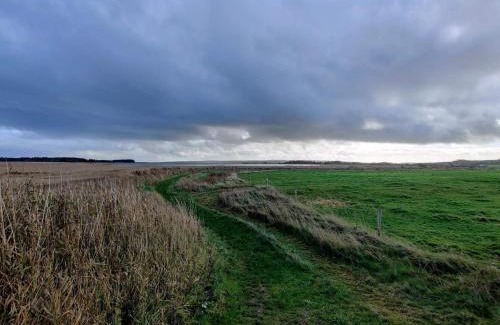 Trans House | 6 person holiday home in Lemvig-By Traum