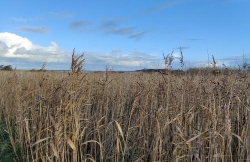 Trans House | 6 person holiday home in Lemvig-By Traum