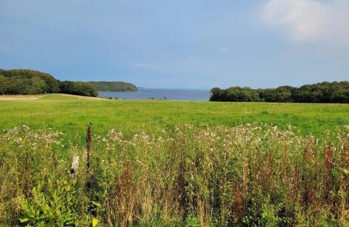 Vester Grønning House | 6 person holiday home in Roslev