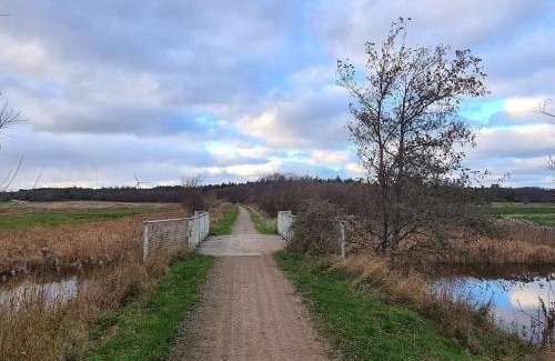 Vesløs House | 6 person holiday home in Vesløs-By Traum