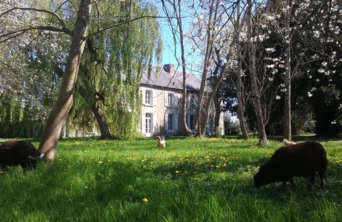 Vouneuil-sur-Vienne House | 6 persons with privative garden, heated pool