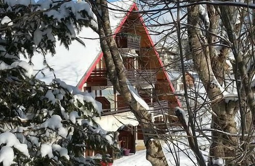 Villard-de-Lans Apartment | 6 to 7 sleeps, spacious with central fireplace, wooden top of the chalet.