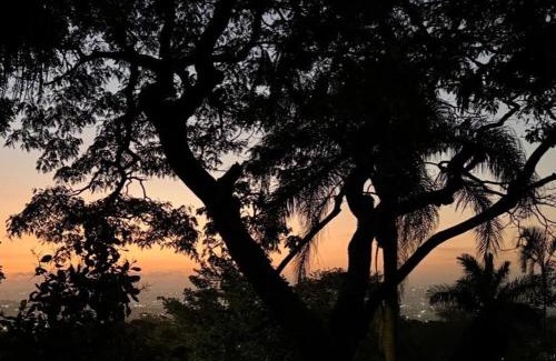 Durban North Apartment | 6A on Redwood Guest House in Durban North