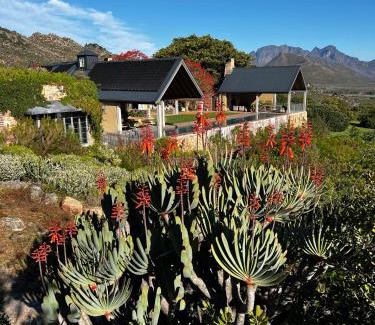 Franschhoek Bed & Breakfast | 7 Koppies