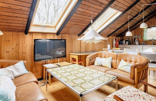 Slette Strand House | 7 person holiday home in Fjerritslev-By Traum