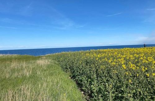 Grenaa House | 7 person holiday home in Grenaa