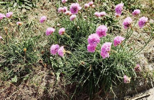 Thorsminde House | 8 person holiday home in Ulfborg-By Traum