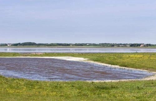 Jegum House | 8 person holiday home in Oksbøl-By Traum