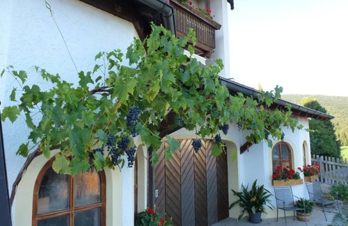 Rimbach Apartment | 80qm große FeWo mit Balkon und tollem Ausblick