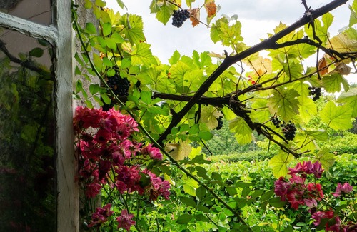 Saint-Sernin-du-Plain House | A 17th century luxury Manor
