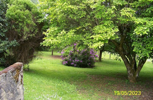 Seilhac House | A 5 Minutes à Pied du Bourg , Maison Avec Jardin Arboré