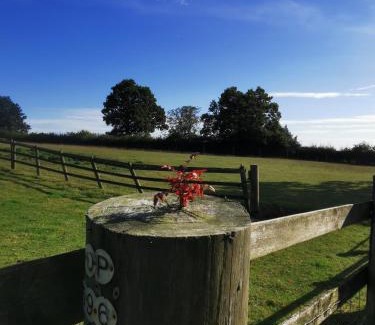 Belper House | A Bird House