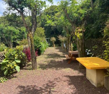 Capelas House | A Casa Amarela