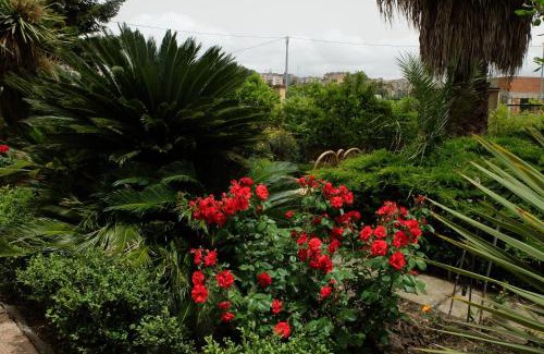 Caltanissetta House | A casa di Anna