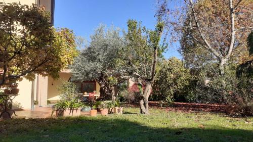 Pagnano Apartment | "A casa di Jolanda" a green escape near Venice