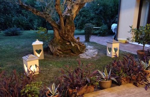 Pagnano Apartment | "A casa di Jolanda" a green escape near Venice