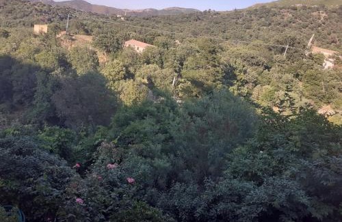 Ville-di-Paraso House | A Casa Di Mamo