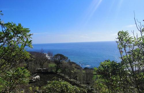Lajes das Flores House | A casa do Tí Mendonça