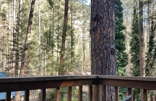 Sedona Cabin | A Charming Gem in the Big Woods!