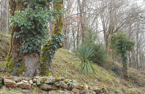 Sarlat-la-Caneda Historic Center Cottage | A corner of paradise for an unforgettable stay: gastronomy, tourism; rest .