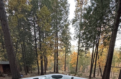 Phoenix Lake-Cedar Ridge Cabin | A family friendly cabin nestled in the beautiful Stanislaus National Forest.
