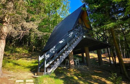 Porumbacu de Jos Ski Chalet | A frame Cuib de Vultur