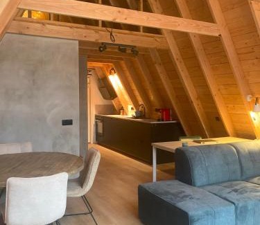 Norg House | A-huis in het bos van Drenthe