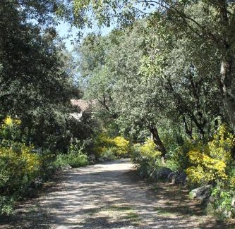 Saint-Siffret House | A l'Est d'Uzès