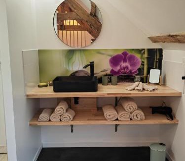 Saint-Malon-sur-Mel House | A La Mémoire de Merlin " Gîte Le Miroir Aux Fées "