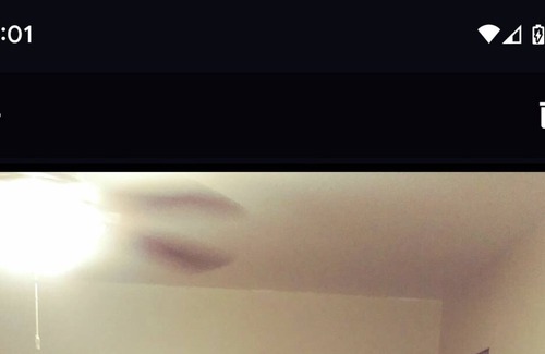 Lathrup Village House | A large cozy private space. Perfect for professionals and families?