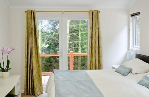 Cornwall Cabin | A Lodge set in a Quiet Location with country Views