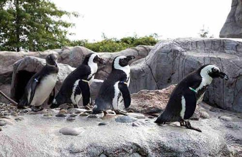 West Mystic Apartment | A Luxurious Retreat in Mystic Ct