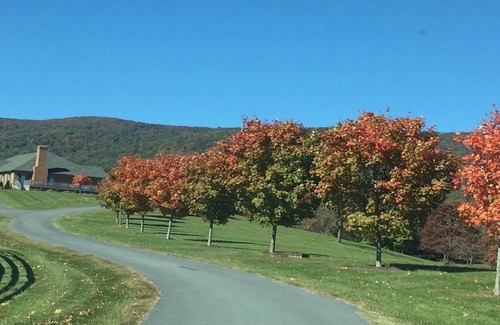 Greenwood House | A Must Stay Estate Located by Numerous Wineries & Breweries in Afton, Va