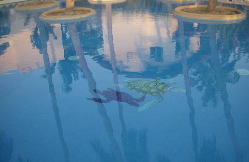 Bucerias Villa | A pool and a beach… What else do you need? Check out my REVIEWS! GREEN!