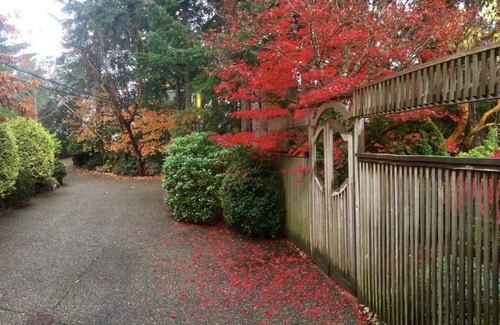Victoria House | A quiet, private suite overlooking a quaint lake