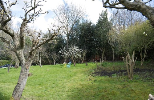Crawcrook Cottage | a Quirky Garden Building in an Orchard