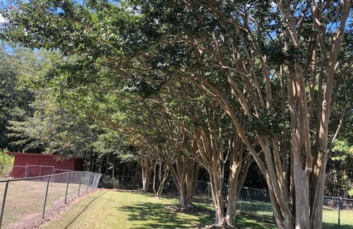 Cataula House | A Safe and private retreat/Red Roof Retreat/Ft. Benning/Callaway/Columbus