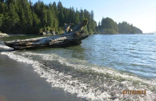 Port Renfrew Ski Chalet | A Shack In The Woods