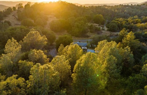 Mariposa House | A Stunning Midcentury Modern Retreat Perfect for Your Next Getaway!