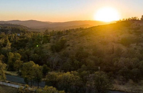 Mariposa House | A Stunning Midcentury Modern Retreat Perfect for Your Next Getaway!