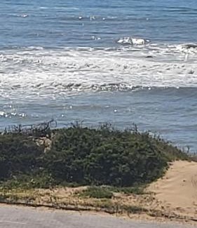 Port Alfred House | A-View-at-Kingfisher Port Alfred Guest Accommodation